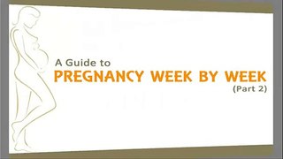 2 Months Pregnant - Week by Week Pregnancy