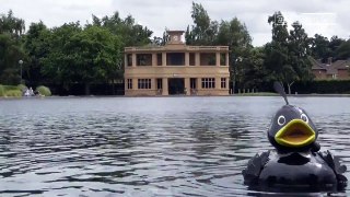 Mats Grand Norwich Duck Race Training - Episode2: The Boating Lake