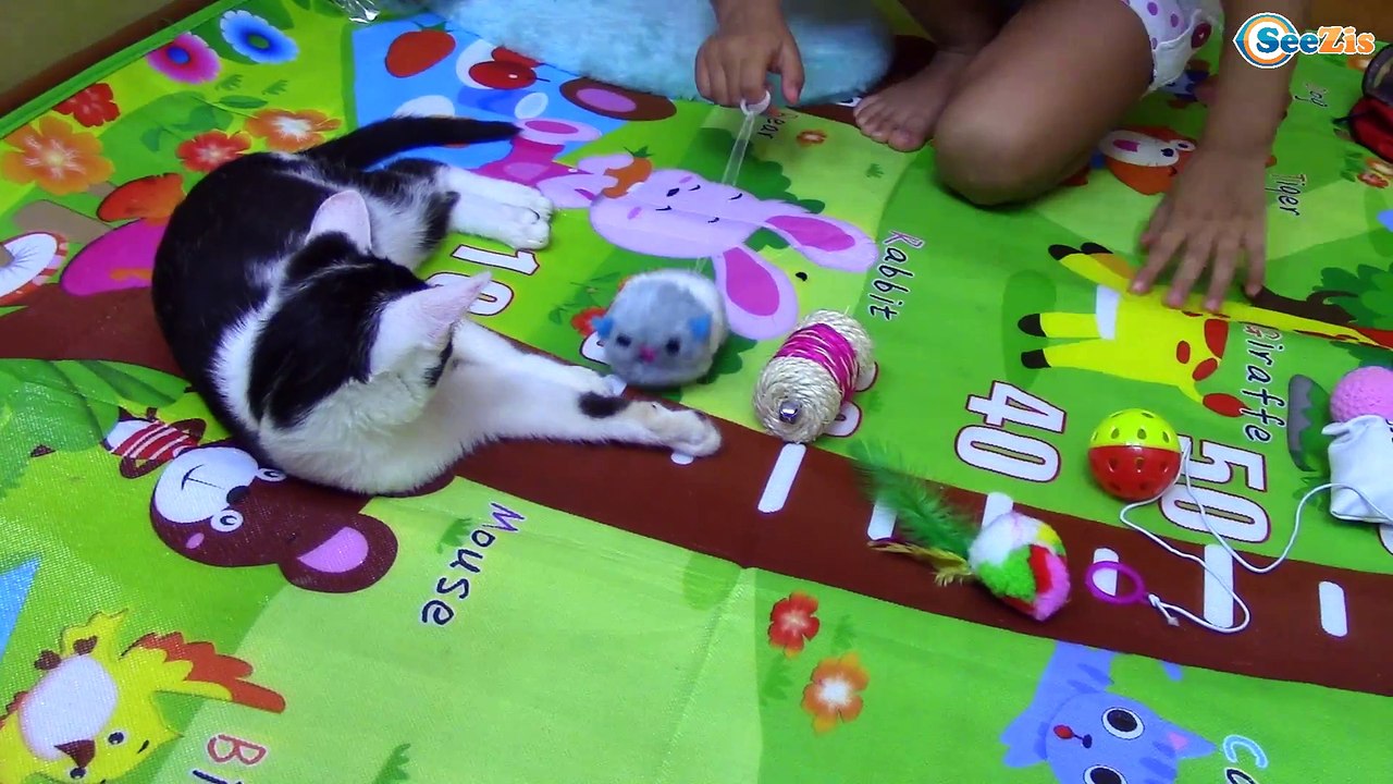 Котенок Барсик и Ярослава играют. Сюрпризы и Подарки - Игрушки для Животных. Видео для детей