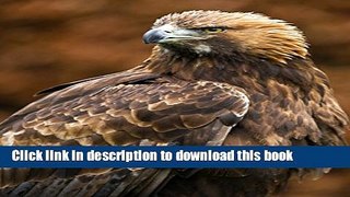 [Download] Golden Eagle Journal: 150 page lined notebook/diary Hardcover Free