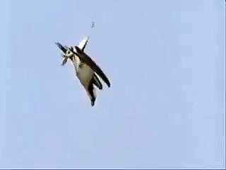 funny clips-funny pranks-funny fails-funny videos-Best Fails-top funny-funny videos 2016-Funny