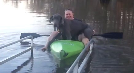 Il insiste pour emmener son énorme chien faire du canoë kayak
