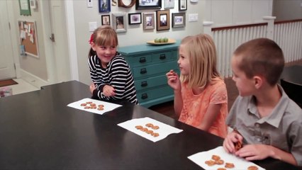 PRÉSENTATION DU SYSTEME QOLSYS