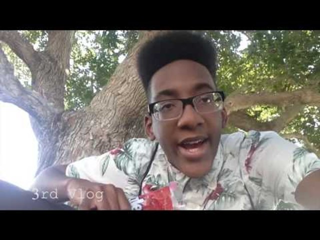 Vlog 3