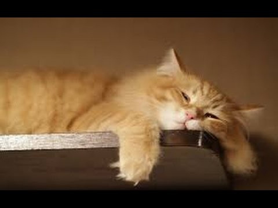 I'm lazy....