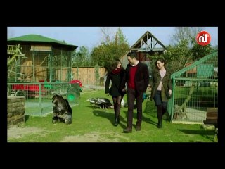 Bin Narin Episode 59- بين نارين الحلقة 59