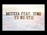 Mitzza feat. Dinoecelmaitare - Tu nu stii (prod. FeenHertz)