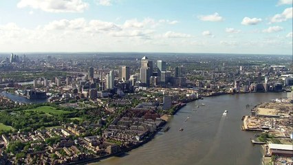 Seals look downbeat as numbers dwindle in the River Thames