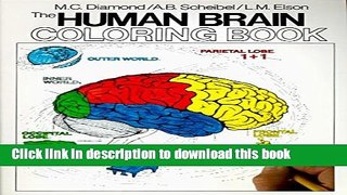 [Download] Human Brain Coloring Book Paperback Free