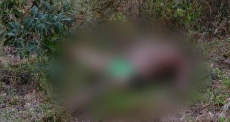 Se encuentra un cadáver con varias puñalada en su cuerpo
