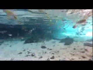 Um mergulho nas grutas da Chapada Diamantina