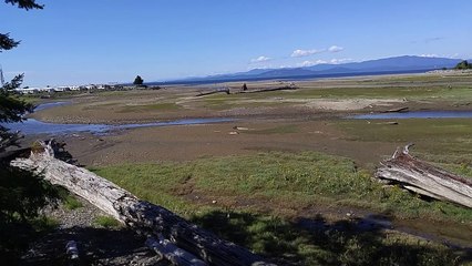 Viewpoint Panorama Englishman River Estuary 360 degree