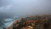 Tropical Storm Javier Blows Past Cabo, Weakens