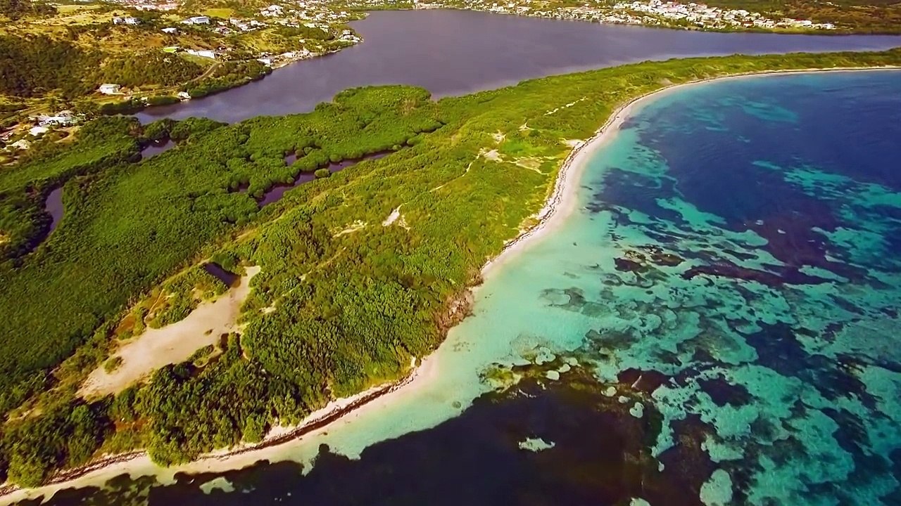 The Free - Freedom Island