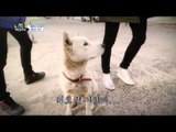 VIXX One fine day(episode-8) The end of the Jeju Island 