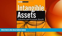 FREE DOWNLOAD  Intangible Assets: Valuation and Economic Benefit READ ONLINE