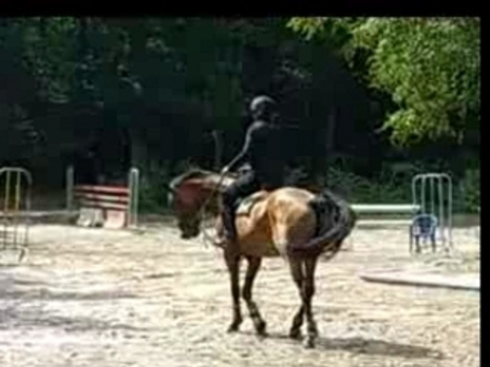 Cynthia et son cheval