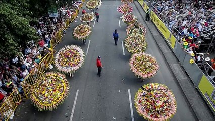 Traditional parade closes Colombian flower festival