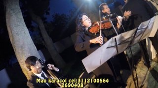 GRUPO DE CAMARA PARA MISAS BODAS CELEBRACION EUCARISTICA BOGOTA SOPRANO