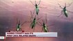 Texas Officials Announce Baby’s Zika-Related Death
