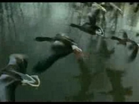 Nomadas del Viento 1