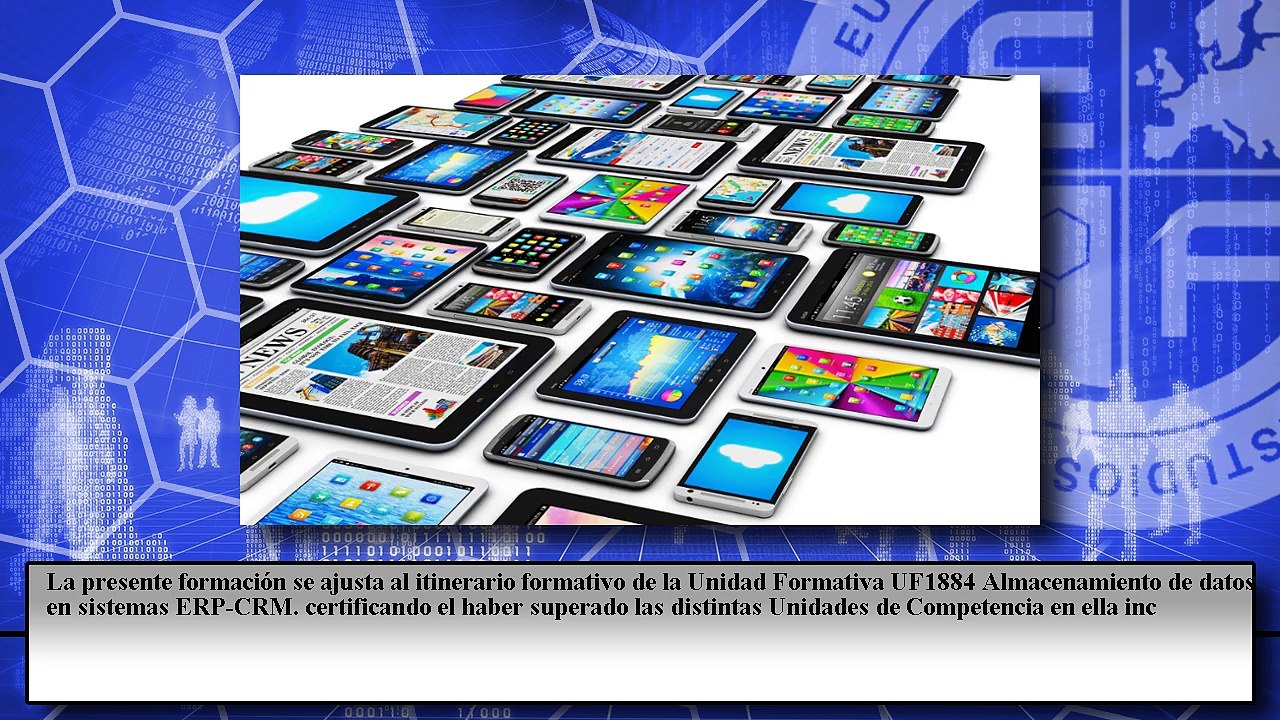 Almacenamiento de Datos en Sistemas ERP-CRM (Online)