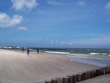 Ustka 2k16 - seagulls feeding