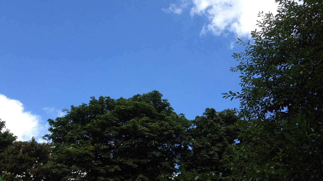 Avion survolant Savigny-sur-Orge durant les travaux de la piste 4 durant l'été 2016