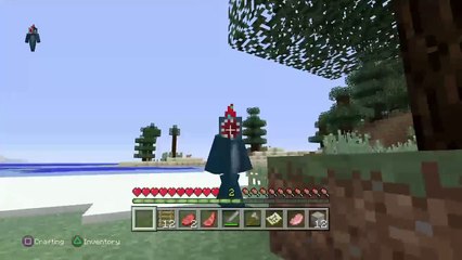 SurvivalCraft Ep1 (15)