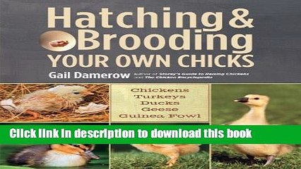 [Download] Hatching   Brooding Your Own Chicks: Chickens, Turkeys, Ducks, Geese, Guinea Fowl