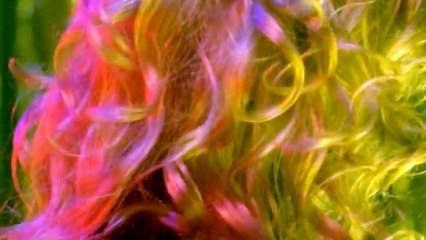 Mourir comme un homme VOST - Ext 2