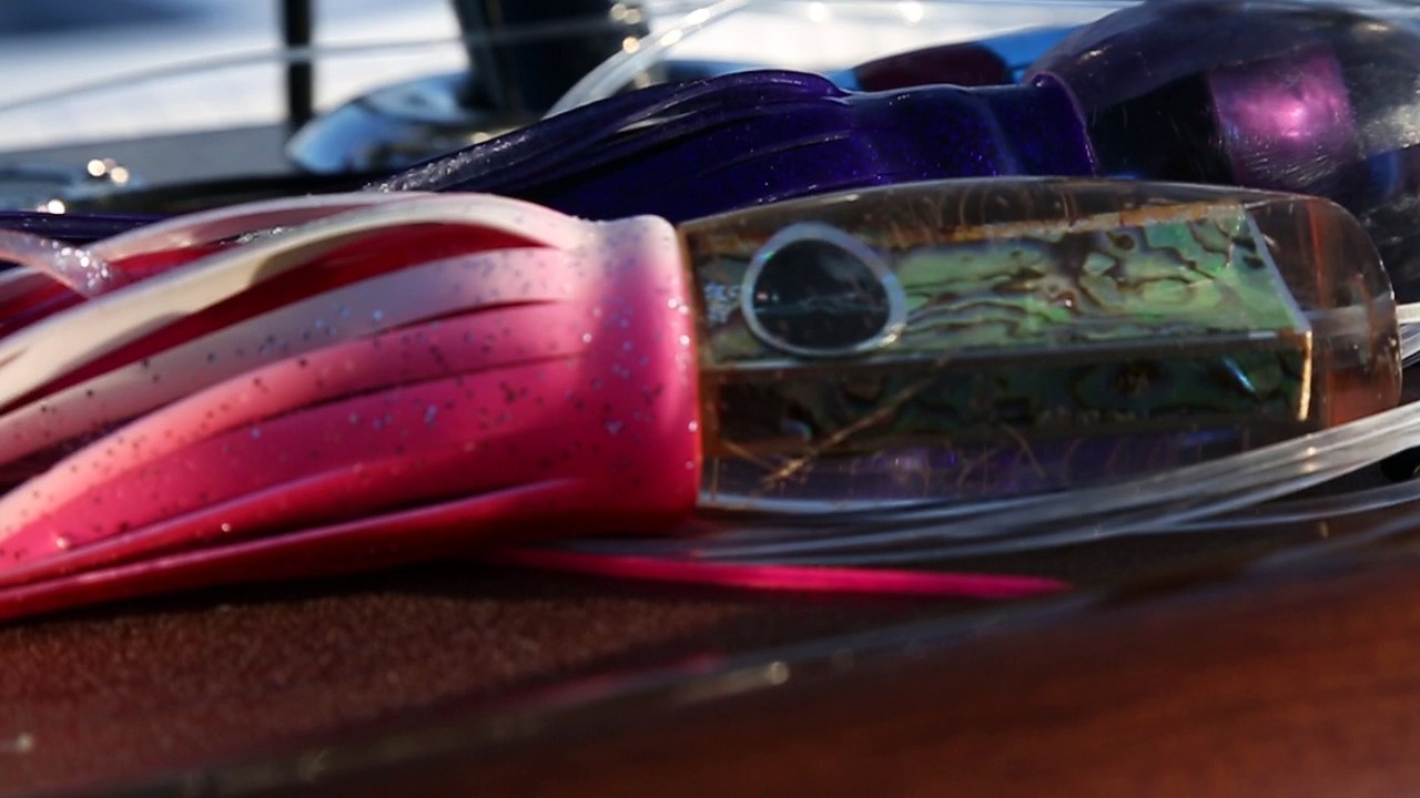 Satellite Tagging Blue Marlin in Gulf of Mexico