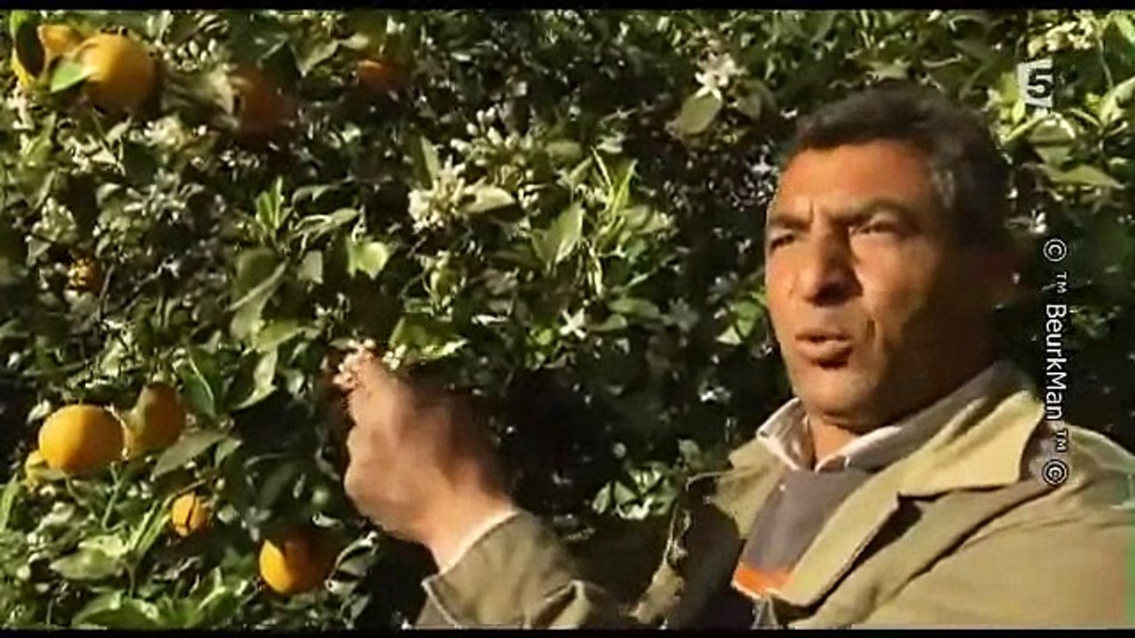 La Tunisie est bel et bien est un pays à part du monde arabe