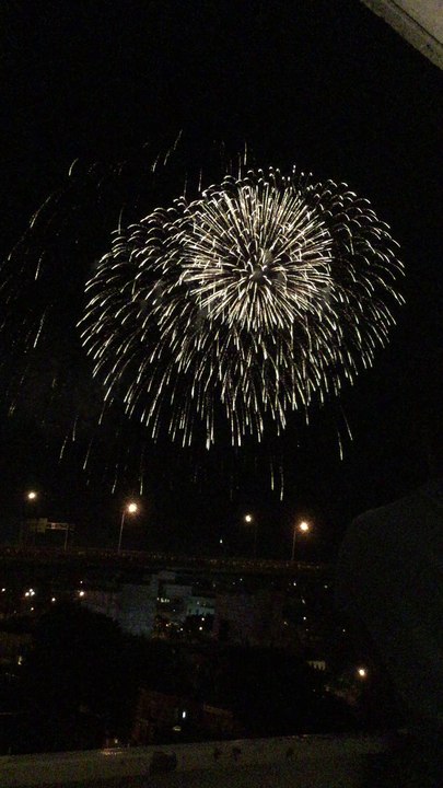 fogos