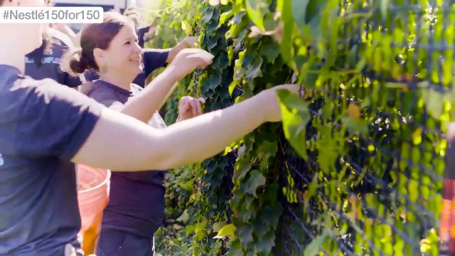 Nestlé 150 for 150: 150 Volunteer Events Around the USA | Nestlé