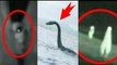 ►Real Life✔ 5 Most Mysterious Creatures 2016✔ Caught on Tape MUST SEE!