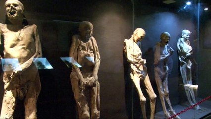 Paloma Robles pide más personal para Momias