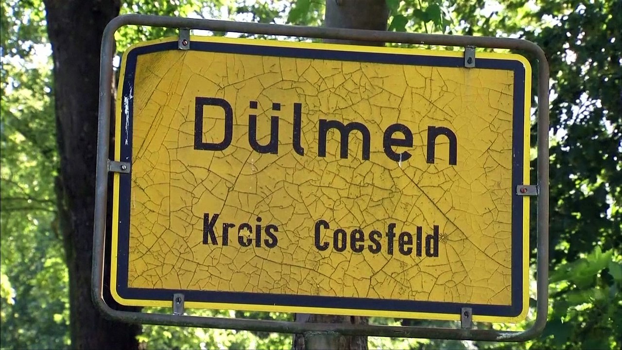 Chinese tourist mistakenly ends up as refugee in Germany