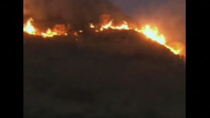 Forest fire breaks out in Bolivia
