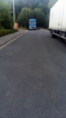 Minette seule avec ses deux chatons