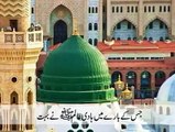 فتنہ خوارج احادیث مبارکہ صلی اللہ علیہ وآلہ وسلم کی روشنی میں