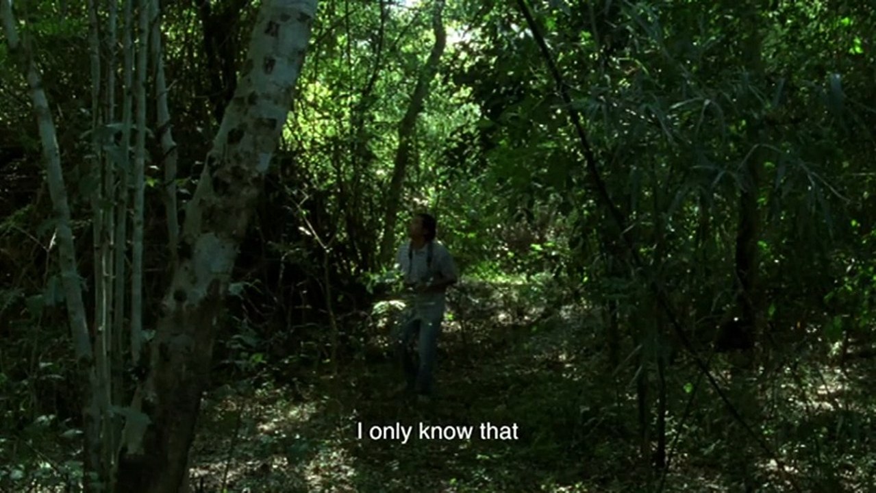 Uncle Boonmee Who Can Recall His Past Lives VOST anglais