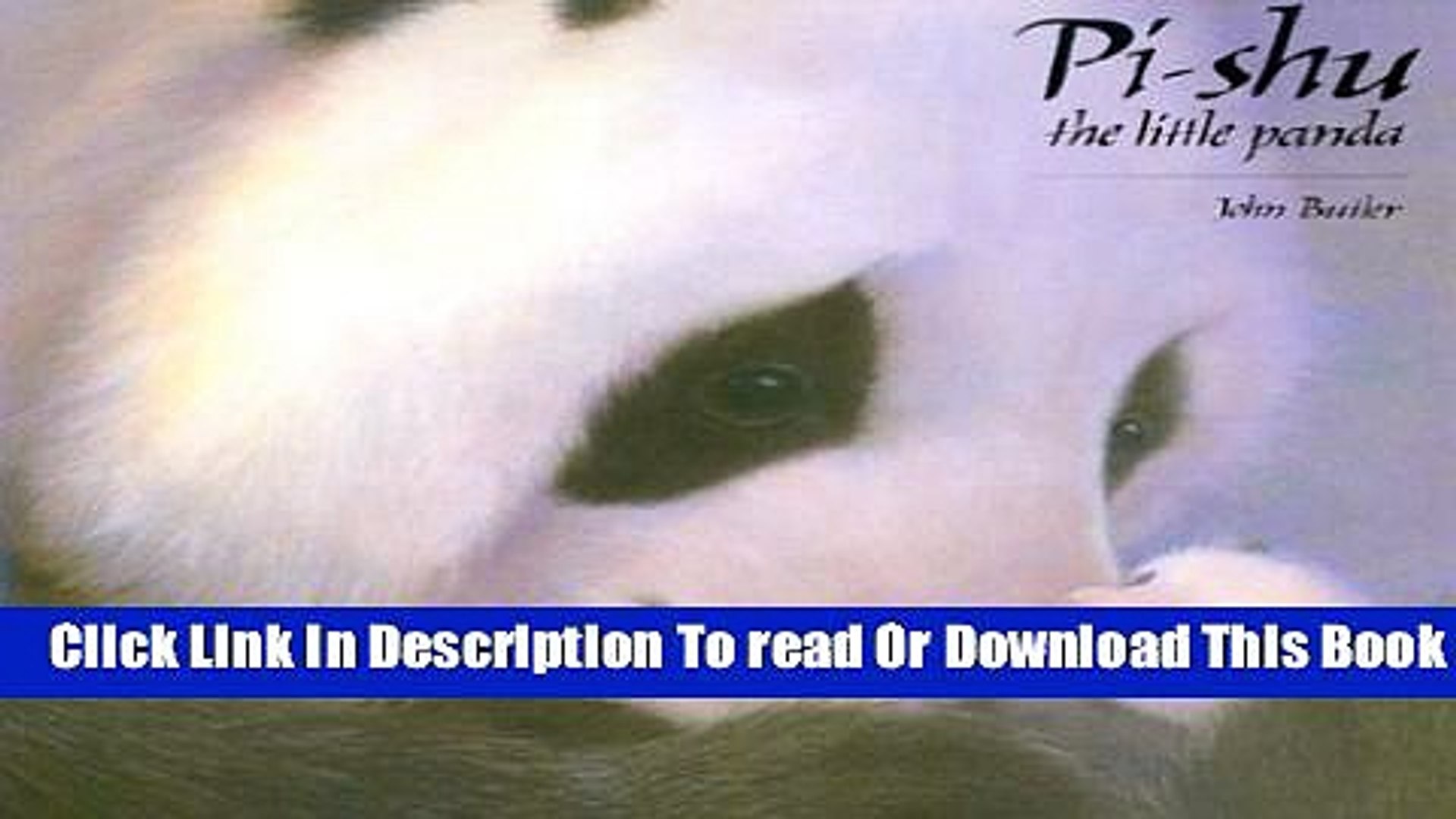 Download Pi Shu The Little Panda Paperback Collection Video Dailymotion