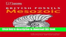 [Popular] British Mesozoic Fossils (British Fossils) Paperback OnlineCollection