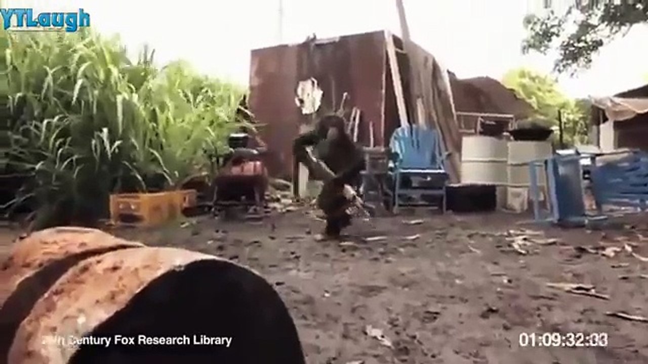 Funny videos 2016 - Stupid people doing stupid things - YouTube