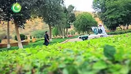 Shukriya PAKISTAN Song by Rahat Fateh Ali 2016 HD