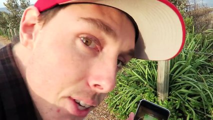 HUNTING AUSTRALIAN POKEMON! (Pokemon GO!)