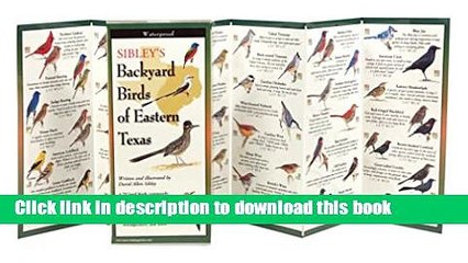 [Download] Sibley s Backyard Birds of Eastern Texas (Foldingguides) Paperback Online