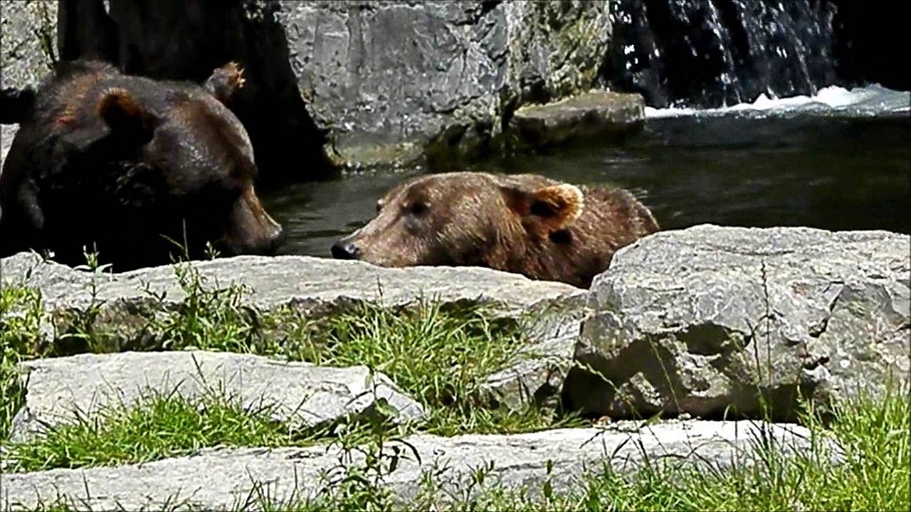 Domaine des Grottes de Han - 04 Juillet 2016