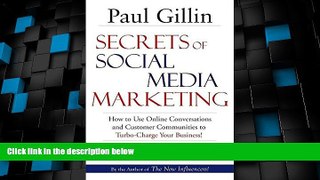 Big Deals  Secrets of Social Media Marketing: How to Use Online Conversations and Customer